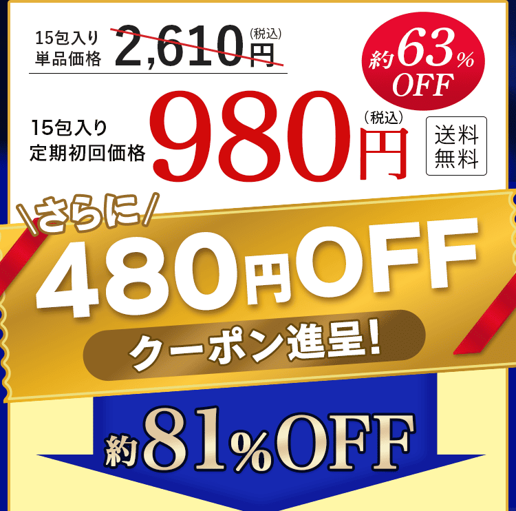 クーポン進呈80％OFF