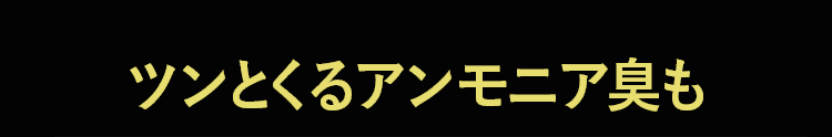 アンモニア臭も