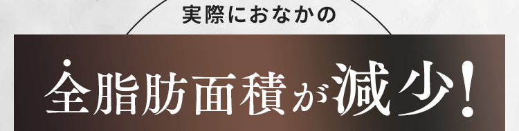 お腹の全脂肪面積が減少!