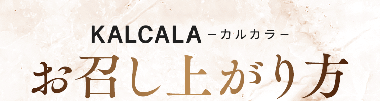 お召し上がり方