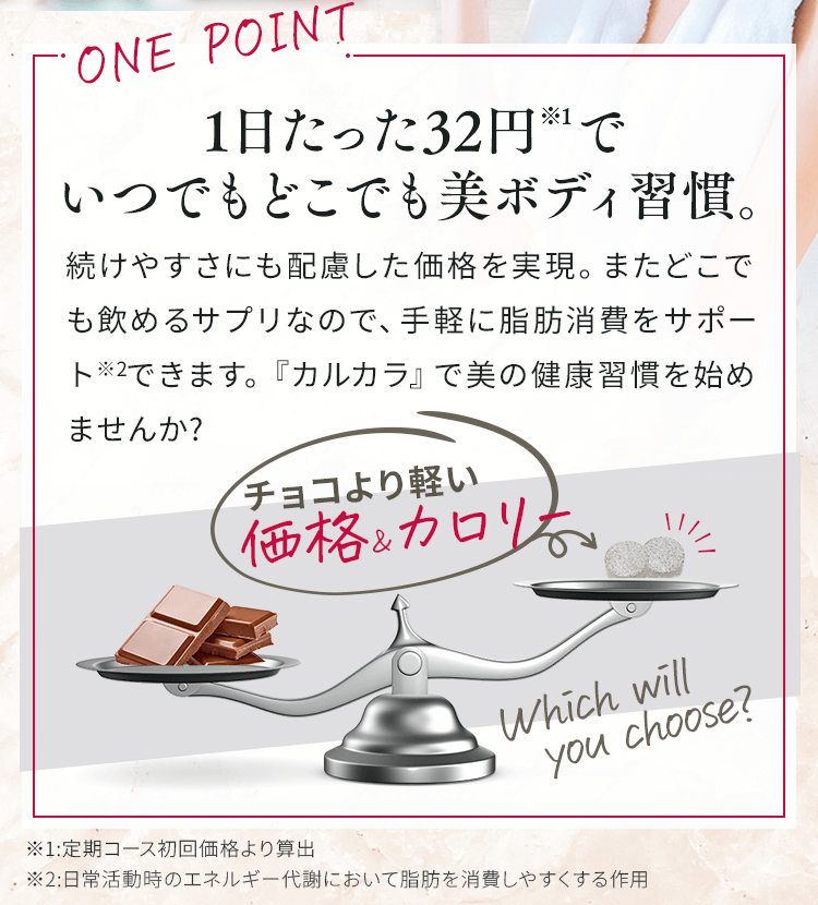1日たった32円でいつでもどこでも美ボディ習慣。