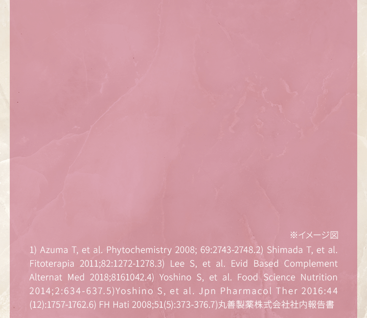 アニメーションイメージ