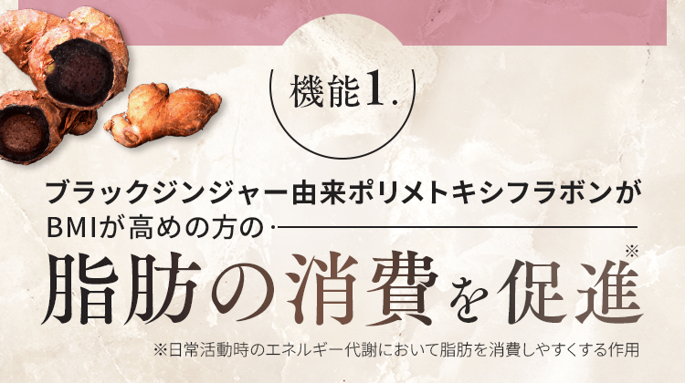 脂肪の消費を促進