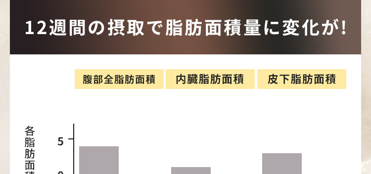12週間の摂取で脂肪面積量に変化が!