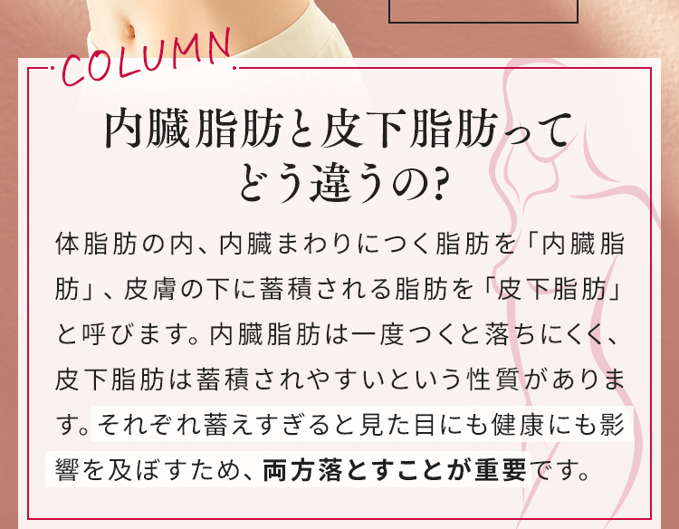 内臓脂肪と皮下脂肪ってどう違うの?