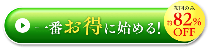 一番お得に始める