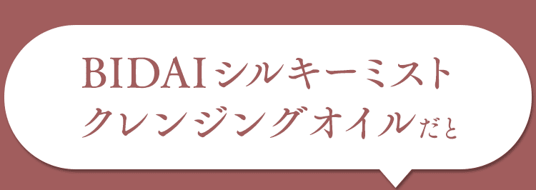 BIDAIだと