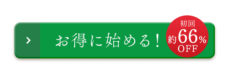 お得に始める！