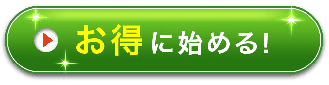 一番お得に始める！