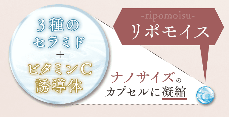 ナノ化