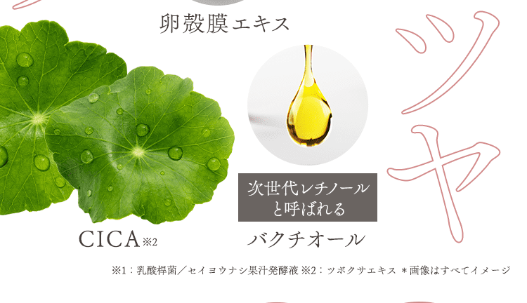 ツヤ