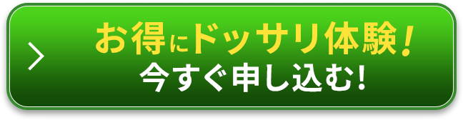 今すぐ申し込む