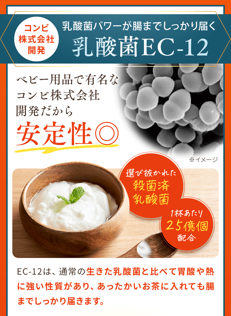 乳酸菌EC-12