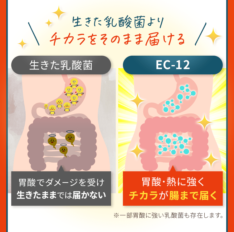 生きた乳酸菌よりチカラをそのまま届ける