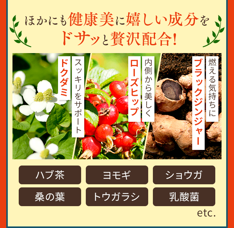 ほかにも健康美に嬉しい成分をドサッと贅沢配合